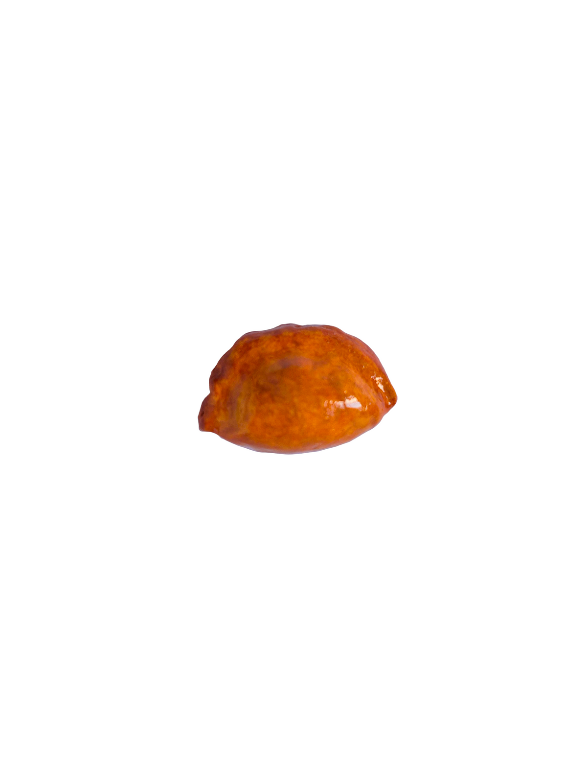 Mini curry puff magnet